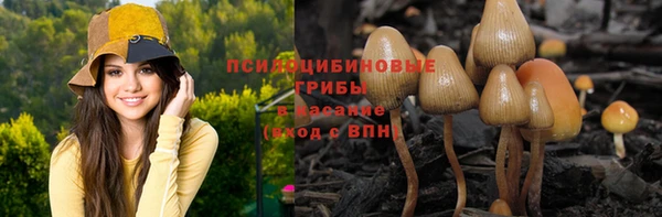 a pvp Горно-Алтайск