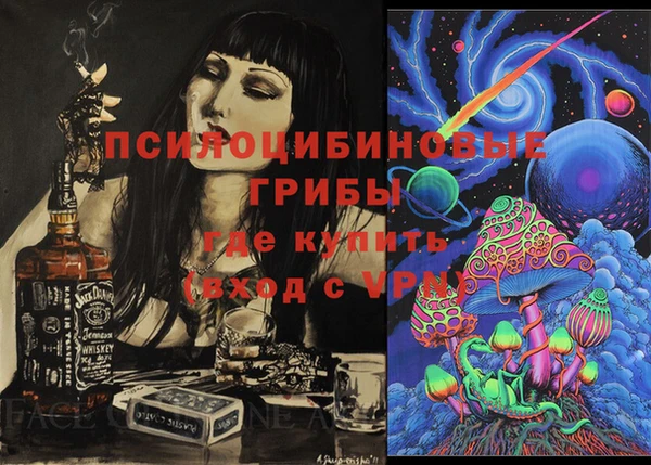 соль ск Горняк