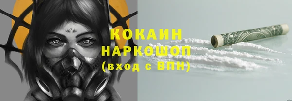 соль ск Горняк